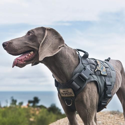 OneTigris Tactical Dog Harness Vest No-Pull Service Dog Vest for Small Dogs - color: Grey, size: X-Small