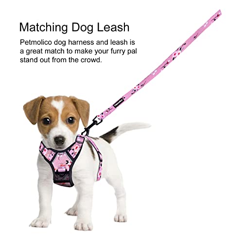 Petmolico No Pull Dog Harness and Leash Set with 4 Clips, Pink Plum, Medium - color: Pink Plum, size: Medium