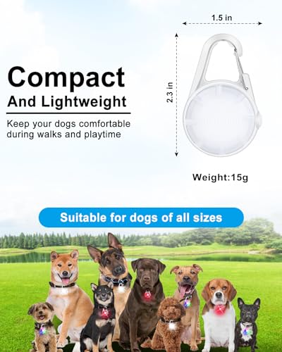 2 Pack Dog Collar Light, 4 Modes Clip On Dog Lights for Night Walking, Glow in the Dark LED Pet Collar Charm, Rechargeable Pet Camping Essentials for Nighttime Running, Cycling, Hiking(White) - color: White