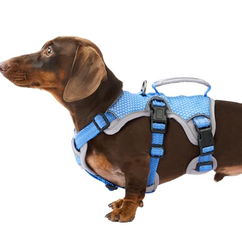 Huntboo Escape Proof Dog Harness, Dachshund Harness, Reflective Dog Harness with Handle, Durable,Adjustable Vest for Small Medium Large Dogs Walking, Training, and Running Gear (Sea Blue,S) - color: Sea Blue, size: Small(Pack of 1)