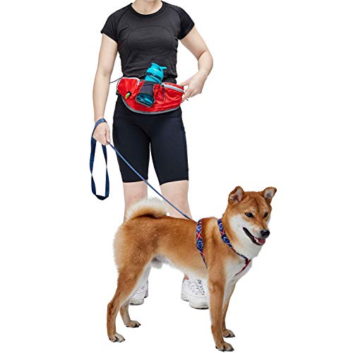 Blueberry Style Red Bumbag Waist Bag Fanny Pack for Walking Running - Built-in Poop Bag Holder, Dog Treat Pouch, Adjustable Waistband, and Bottle Holder - color: 1 Pack Waist Bag - Red