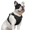 rabbitgoo Large Dog Harness, Easy Wear with 3 Buckles and Lift Handle - color: Black, size: Small