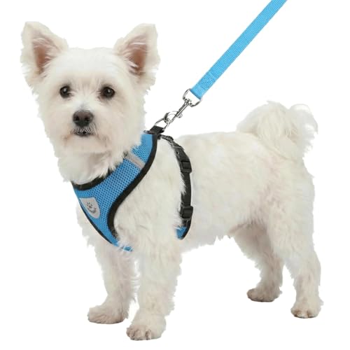 Hypeety Dog Vest Harness No-Pull Reflective Step-in Air Mesh Vest, Blue, S - color: Blue, size: S
