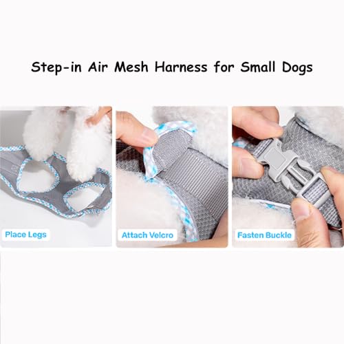 Petank Step in Dog Harness No Pull and Leash for Small Medium Dogs Cats. - color: Grey, size: XXS