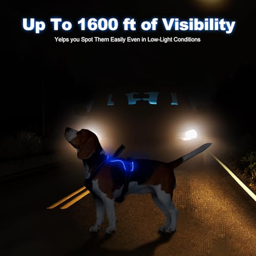 MASBRILL Lighted Dog Harness - No Pull, Glowing LED Harness with Handle for Small to Large Dogs - color: Blue, size: S