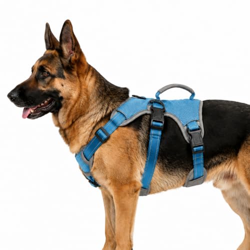 Escape Proof Dog Harness, No Escape No Pull Reflective Dog Harness with Durable Handle, Adjustable Heavy Duty Vest for Small Medium Large Dogs, Walking and Training (Blue,XL) - color: Blue, size: XL (Pack of 1)