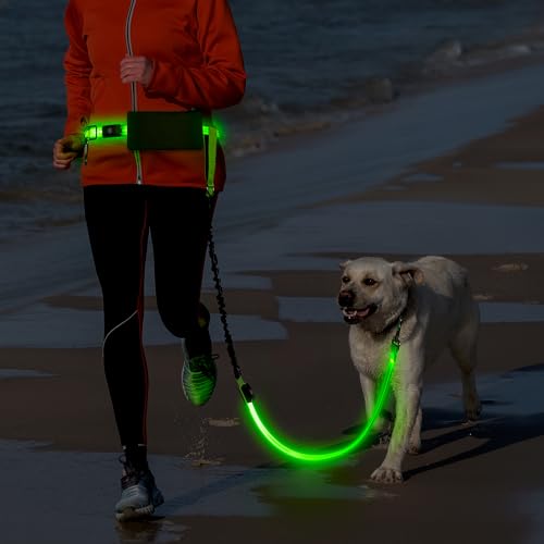 Light Up Waist Leash for Dog Walking, Hands Free LED Dog Leash with Light - color: Green
