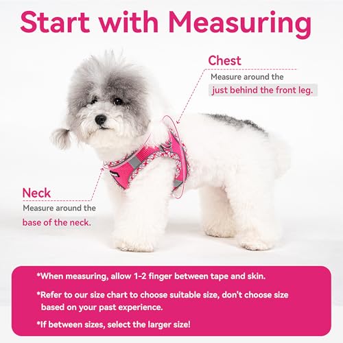 Petank Step in Dog Harness No Pull and Leash for Small Medium Dogs Cats. - color: Rose Red, size: XXS