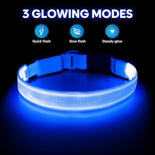 Illumifun LED Dog Collar, USB Rechargeable Light Up Collar, Waterproof Adjustable Safety Light Glow in The Dark (Blue, Large) - color: Blue, size: Large