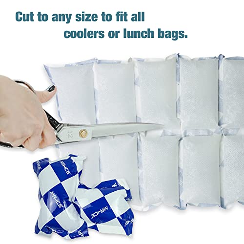 Reusable Dry Ice Packs for Shipping & Storage - Long Lasting Cold Packs for Lunch Box & Coolers - Ideal for Frozen Food & Drinks - style: 13"x7" 8 pcs(12 cells)
