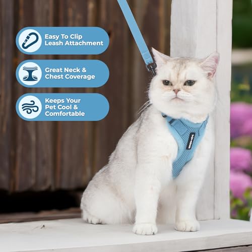 Voyager Escape-Proof Step-in Harness & Leash - Baby Blue, S - color: Baby Blue, size: S (Chest: 15 - 18")