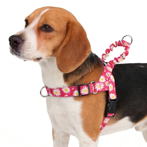 PUPTECK No Pull Dog Harness Small Sized Dog, Adjustable Reflective Pet Vest Harness with Bungee Handle, Escape Proof No Choke Harness for Small Dogs Walking Training, Fuschia Daisy M - color: Fuschia, size: M (NECK: 16.5"-19.5", CHEST: 21.5"-28")