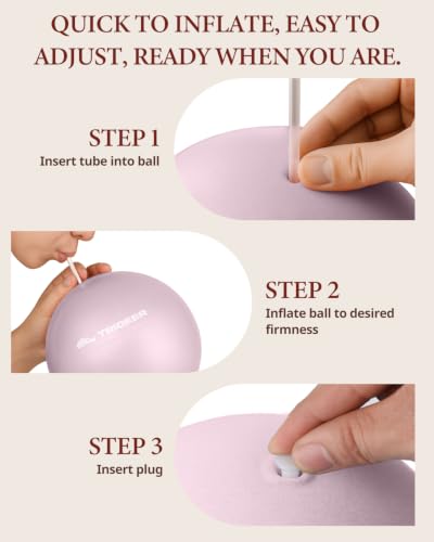 Trideer 9 Inch Pilates Ball with Inflation Straw, Small Exercise Yoga Ball - color: Mauve Mist