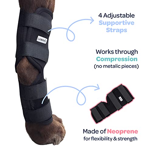 Labra Dog Rear Leg Hock Joint Compression Wrap - Supportive Brace for Weak Back Legs, ACL Tear, and Joint Discomfort - Adjustable Hind Leg Support for Senior Dogs - Large - size: Large