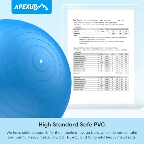 APEXUP Yoga Ball, 660 lbs Anti-Burst Exercise Ball with Pump, 5 Sizes - color: Blue, size: M (19"~22") 55cm