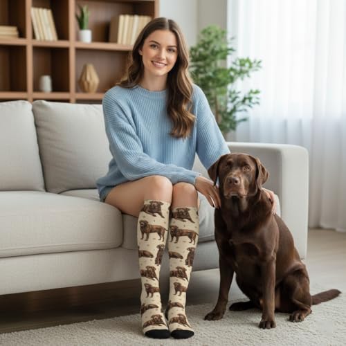 Cute Dog Compression Socks Women Men, Dog Lover Gift - color: Chocolate Lab