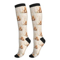 Avocado Compression Socks Women Men Knee High Stock for Running Work Support Nurses Travel - color: Bear
