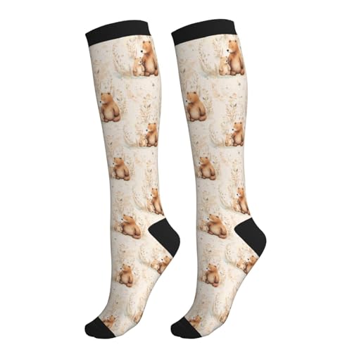Avocado Compression Socks Women Men Knee High Stock for Running Work Support Nurses Travel - color: Bear
