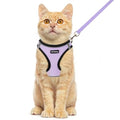 Rttochfy Cat Harness and Leash Set, Escape Proof Kitten Harness, Soft and Breathable Vest with Reflective Strip, Easy to Wear for Cats Walking and Traveling (BK Purple, XXS) - color: BK Purple, size: XXS (Chest:11"-12")