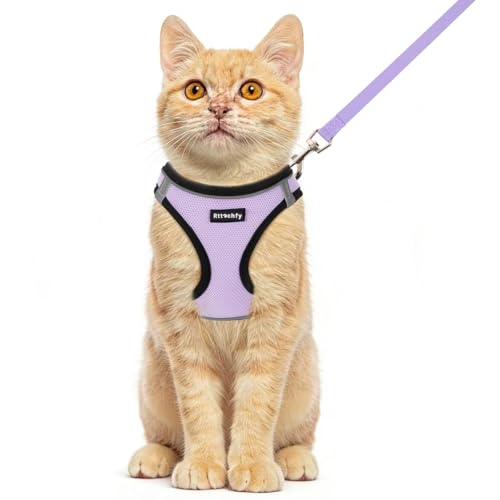 Rttochfy Cat Harness and Leash Set, Escape Proof Kitten Harness, Soft and Breathable Vest with Reflective Strip, Easy to Wear for Cats Walking and Traveling (BK Purple, XXS) - color: BK Purple, size: XXS (Chest:11"-12")