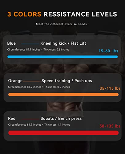 SUNPOW Pull Up Assistance Bands Set of 5 Resistance Heavy Duty Workout Exercise Stretch Fitness Bands Assist Set for Body, Instruction Guide and Carry Bag Included - color: Multicolor（15-135lbs）