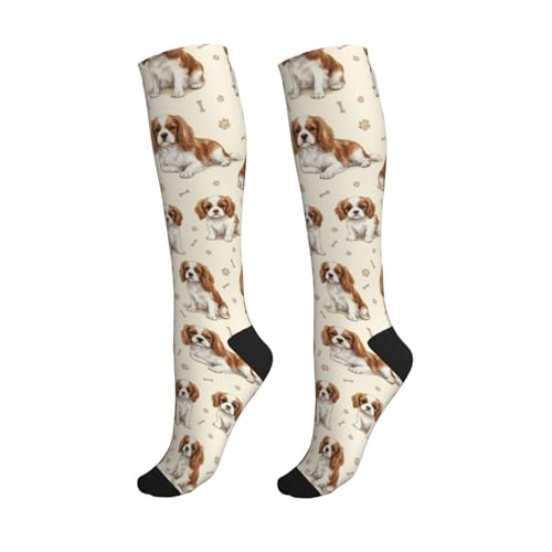 Cute Dog Compression Socks Women Men, Dog Lover Gift - color: King Charles Cavalier1