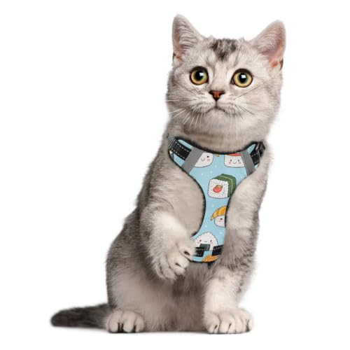 Kawaii Sushi Dog/Cat Harness, Reflective No-Pull Pet Harness with 2 Leash Clips, Fully Adjustable Soft Padded Dog Vest, No-Choke Pet Oxford Vest - color: Kawaii Sushi, size: M