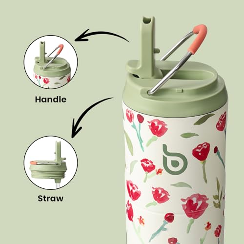 BOTTLE BOTTLE Insulated Water Bottle 24oz with Straw Lid and Handle Sports - color: Rose Red