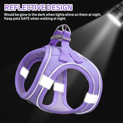 GAMUDA Small Pet Harness Collar and Leash Set, Step in No Chock No Pull Linen Fabric Soft Mesh Dog Vest Harnesses Reflective for Dogs Puppy Cats Kitten Rabbit (Purple, XXS) - color: Purple, size: XXS