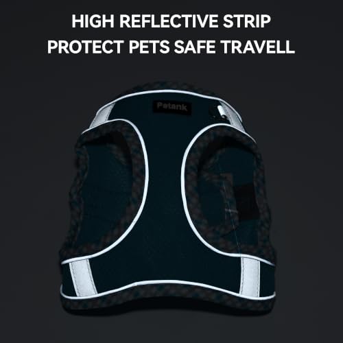 Petank Step in Dog Harness No Pull and Leash for Small Medium Dogs Cats. - color: Bule, size: XXS