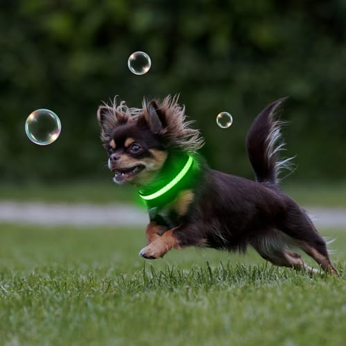 Flashseen LED Dog Collar, Light Up Dog Collar USB Rechargeable, Green, XS - color: Green, size: X-Small