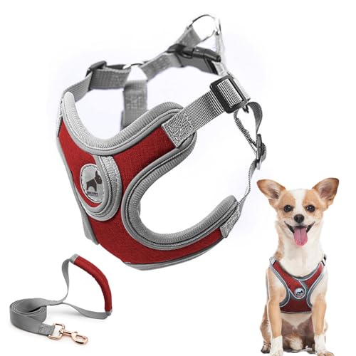 Dog Harness with Leash Set, No Pull Adjustable Step in Pet Vest - color: Red, size: XS