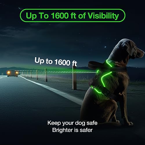 MASBRILL Light Up Dog Harness - No Pull Led Dog Harness Rechargeable Adjustable Lighted Dog Vest Harness for Small Medium Large Dogs - color: Black-Green, size: S