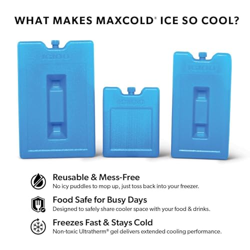 Igloo Maxcold Small Ice Block, 2-Pack, Blue - color: 2PK Small