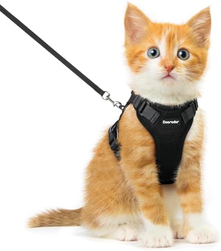 Dooradar Cat Harness and Leash Set, Adjustable and Escape Proof, XXS - color: Black, size: Xxs
