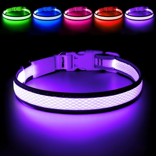 Flashseen LED Light Up Dog Collar, USB Rechargeable, Purple, L - color: Purple, size: Large