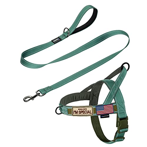 Annchwool No Pull Dog Harness with Padded Handle+5 Ft Leash(Green-Set,S) - color: Reflective-Green Set, size: S