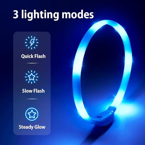 Led Dog Collar, BSEEN Light Up Dog Collars USB Rechargeable Flash Dog Necklace, Silicone Cuttable Lighted Puppy Collar, Glowing Dog Walking Lights for Small Dogs& Cats (Blue-XS(40cm)) - color: Blue-XS(40cm)