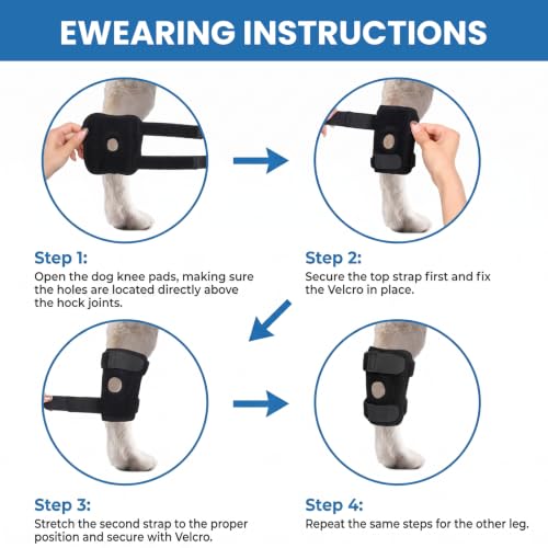 Dog Elbow Protector for Front & Rear Legs Breathable Dog Knee Brace with Adjustable Straps, Hock Joint Support for ACL CCL Tear, Arthritis, Sprain, Post-Surgery Recovery, Anti-Licking (M) - size: M