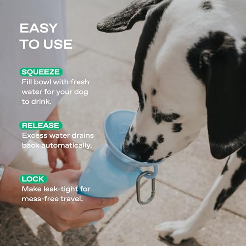 Springland 22oz Classic Portable Dog Water Bottle with Built-in Bowl, Gray - color: Gray, size: 22oz Classic
