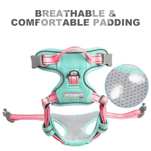 BARKBAY Dog Harness No Pull for Small Sized Dog Front Back Clips,Dog Vest - color: Cool Mint & Baby Pink, size: X-Small(Chest:15.5-19.5”)