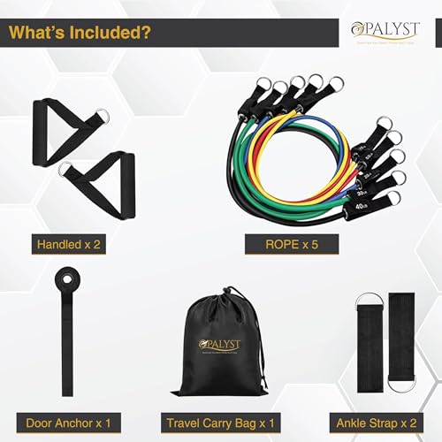 Resistance Bands with Handles, 11-Piece Exercise Band Set for Home Gym, 5 Stackable Tubes with Door Anchor, Ankle Straps and Carry Bag
