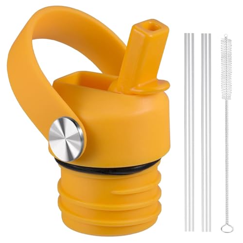 Starfish Straw Lid for Hydro Flask Standard Mouth 18 21 24 oz, Replacement Sport Cap with Handle, BPA-Free Straw Lid with 2 Straws + Brush, for Home Beach Park Picnic Leisure - color: Starfish
