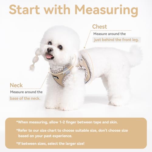 Petank Step in Dog Harness No Pull and Leash for Small Medium Dogs Cats. - color: Brown, size: XXS