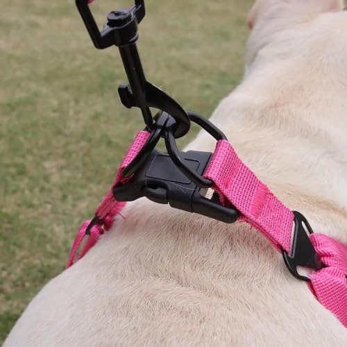 Dog Harness and Leash Set, Adjustable Triangle, Reflective Adjustable Puppy Vest, No Pull Soft Mesh Harness for Small, Medium Dogs, Cats (Fuchsia, L) - color: Fuchsia, size: L