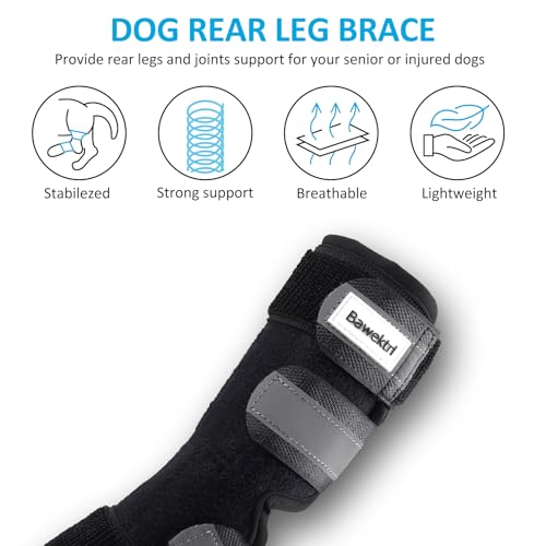 Dog Leg Braces for Back Legs, Canine Hock Brace for Rear Legs with Metal Strips and Safety Reflective Straps, Joint Warps Support Help Hind Legs Injuries Sprains Arthritis (1 Pair) - size: Small（1Pair）