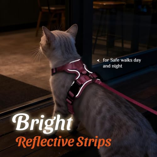 Dooradar Cat Harness and Leash Set, Adjustable and Escape Proof, S - color: Pink Coneflower, size: S