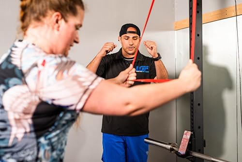 Resistance Bands Set – 5 Pro-Grade Bands with Handles + Lifetime LOF App Access, 30-Day Training Program, Meal Plan Access, 14-Day Coaching Support & Credits Included