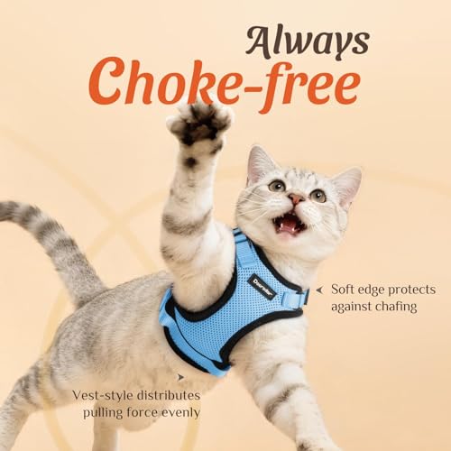 Dooradar Cat Harness and Leash Set, Adjustable and Escape Proof, XXS - color: Light Blue, size: Xxs