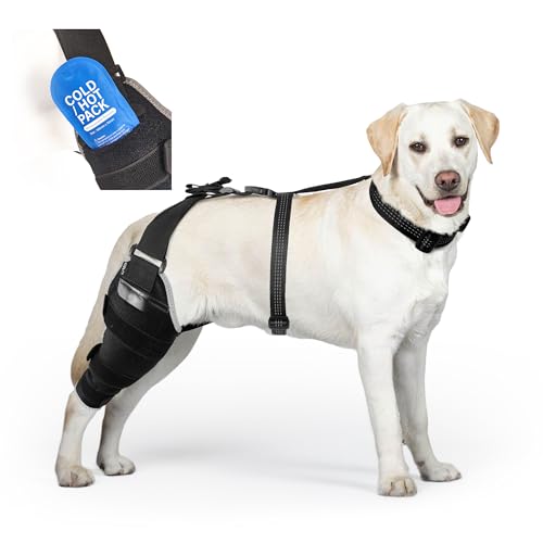 Dog Brace for Back Leg for Support – Breathable Adjustable Dog ACL Knee Brace with Hot/Cold Compress Gel Pack for Arthritis, Swelling & Joint Pain Relief, Right Leg, Size M